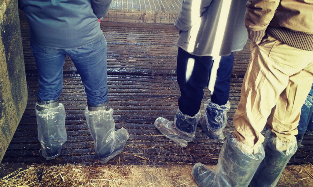 Scarainage_20160126_150647_resized